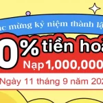 CHÚC MỪNG KỶ NIỆM THÀNH LẬP 911WIN – ƯU ĐÃI ĐẶC BIỆT TRI ÂN HỘI VIÊN